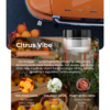 Automobilio kvapas Citrus Vibe
